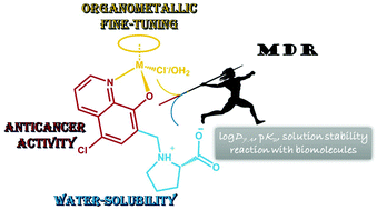 Graphical abstract: An 8-hydroxyquinoline–proline hybrid with multidrug resistance reversal activity and the solution chemistry of its half-sandwich organometallic Ru and Rh complexes