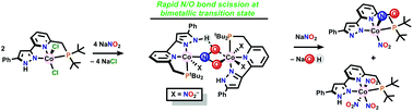Graphical abstract: Nitrogen oxyanion reduction by Co(ii) augmented by a proton responsive ligand: recruiting multiple metals