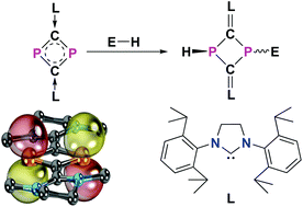 Graphical abstract: Facile addition of E–H bonds to a dicarbondiphosphide