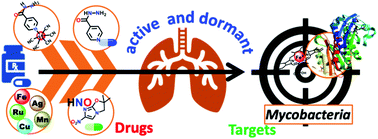 Graphical abstract: A bioinorganic chemistry perspective on the roles of metals as drugs and targets against Mycobacterium tuberculosis – a journey of opportunities