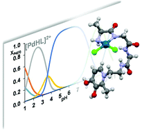Graphical abstract: Pd(ii)-Complexes of a novel pyridinone based tripeptide conjugate: solution and solid state studies