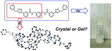 Graphical abstract: Balancing connectivity with function in silver(i) networks of pyridyltriazole (tzpa) ligands results in the formation of a metallogel