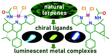 Graphical abstract: Luminescent Zn(ii) and Cd(ii) complexes with chiral 2,2′-bipyridine ligands bearing natural monoterpene groups: synthesis, speciation in solution and photophysics
