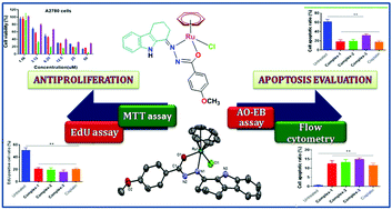 Graphical abstract: Investigation into antiproliferative activity and apoptosis mechanism of new arene Ru(ii) carbazole-based hydrazone complexes