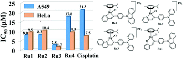 Graphical abstract: Triphenylamine/carbazole-modified ruthenium(ii) Schiff base compounds: synthesis, biological activity and organelle targeting