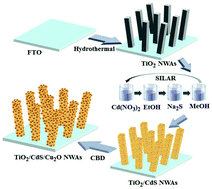 Graphical abstract: Cu2O nanoparticles sensitize TiO2/CdS nanowire arrays to prolong charge carrier lifetime and highly enhance unassisted photoelectrochemical hydrogen generation with 4.3% efficiency