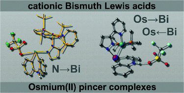 Graphical abstract: Combined experimental and theoretical studies towards mutual osmium–bismuth donor/acceptor bonding