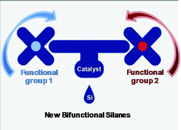 Graphical abstract: Pt(0)-Catalysed synthesis of new bifunctional silanes