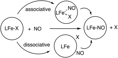 Graphical abstract: Kinetic studies on the reaction of NO with iron(ii) complexes using low temperature stopped-flow techniques