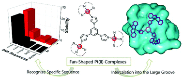 Graphical abstract: Two novel fan-shaped trinuclear Pt(ii) complexes act as G-quadruplex binders and telomerase inhibitors