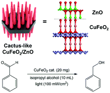 Graphical abstract: Wet chemical epitaxial growth of a cactus-like CuFeO2/ZnO heterojunction for improved photocatalysis