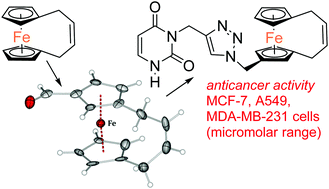 Graphical abstract: Formylation of a metathesis-derived ansa[4]-ferrocene: a simple route to anticancer organometallics
