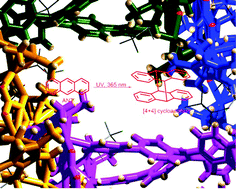 Graphical abstract: A new supramolecular catalytic system: the self-assembly of Rh8 cage host anthracene molecules for [4 + 4] cycloaddition induced by UV irradiation