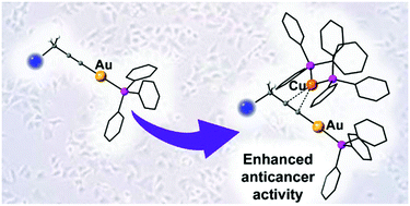 Graphical abstract: Heterobimetallic propargyl gold complexes with π-bound copper or silver with enhanced anticancer activity