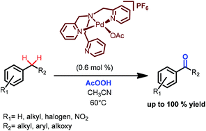 Graphical abstract: Palladium aminopyridine complexes catalyzed selective benzylic C–H oxidations with peracetic acid
