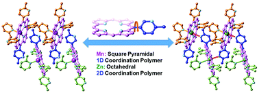 Graphical abstract: Similarities and differences between Mn(ii) and Zn(ii) coordination polymers supported by porphyrin-based ligands: synthesis, structures and nonlinear optical properties
