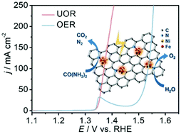 Graphical abstract: Ultrafine NiFe clusters anchored on N-doped carbon as bifunctional electrocatalysts for efficient water and urea oxidation