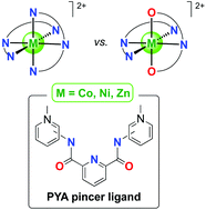 Graphical abstract: Ambidentate bonding and electrochemical implications of pincer-type pyridylidene amide ligands in complexes of nickel, cobalt and zinc