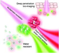 Graphical abstract: Halide perovskite nanocrystals for multiphoton applications