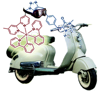 Graphical abstract: A supramolecular bifunctional iridium photoaminocatalyst for the enantioselective alkylation of aldehydes