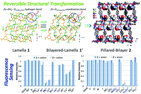 Graphical abstract: From lamellar net to bilayered-lamella and to porous pillared-bilayer: reversible crystal-to-crystal transformation, CO2 adsorption, and fluorescence detection of Fe3+, Al3+, Cr3+, MnO4−, and Cr2O72− in water