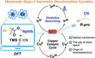 Graphical abstract: A theoretical mechanistic study of IrIII/CuI-metallaphotoredox catalyzed asymmetric radical decarboxylative cyanation
