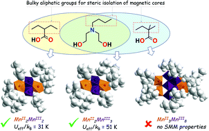 Graphical abstract: New members of the polynuclear manganese family: MnII2MnIII2 single-molecule magnets and MnII3MnIII8 antiferromagnetic complexes. Synthesis and magnetostructural correlations