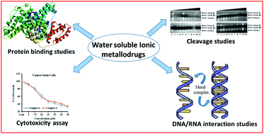 Graphical abstract: Water soluble ionic Co(ii), Cu(ii) and Zn(ii) diimine–glycinate complexes targeted to tRNA: structural description, in vitro comparative binding, cleavage and cytotoxic studies towards chemoresistant prostate cancer cells