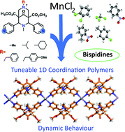 Graphical abstract: Tuneable solvent adsorption and exchange by 1D bispidine-based Mn(ii) coordination polymers via ligand design