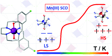 Graphical abstract: Stepwise spin-state switching in a manganese(iii) complex