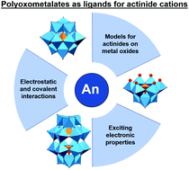 Graphical abstract: Polyoxometalate-based complexes as ligands for the study of actinide chemistry