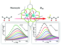 Graphical abstract: Macrocycle supported dimetallic lanthanide complexes with slow magnetic relaxation in Dy2 analogues