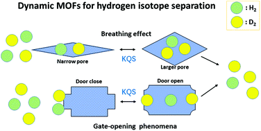Graphical abstract: Dynamic metal–organic frameworks for the separation of hydrogen isotopes