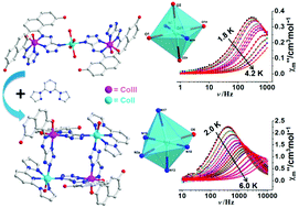 Graphical abstract: Field-induced slow magnetic relaxation from linear trinuclear CoIII–CoII–CoIII to grid [2 × 2] tetranuclear mixed-valence cobalt complexes