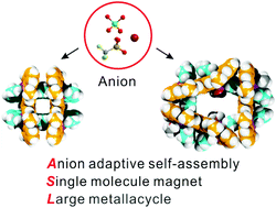 Graphical abstract: Single-molecule magnets under dc field with an anion effect: self-assembly of pure dysprosium(iii) metallacycles