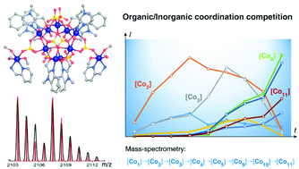 Graphical abstract: The dominance of sulfate over two organic ligands in the solvothermal assembly of an undecanuclear cobaltous cluster: crystallography and mass spectrometry