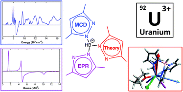 Graphical abstract: Ligand effects on electronic structure and bonding in U(iii) coordination complexes: a combined MCD, EPR and computational study