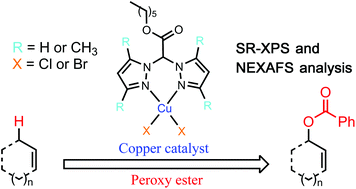 Graphical abstract: Development of new and efficient copper(ii) complexes of hexyl bis(pyrazolyl)acetate ligands as catalysts for allylic oxidation