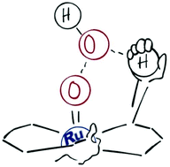 Graphical abstract: In need of a second-hand? The second coordination sphere of ruthenium complexes enables water oxidation with improved catalytic activity