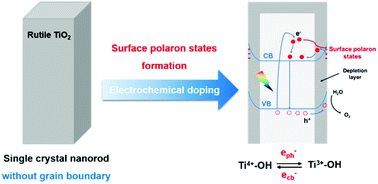 Graphical abstract: Surface polaron states on single-crystal rutile TiO2 nanorod arrays enhancing charge separation and transfer