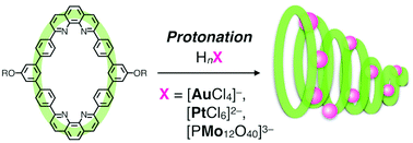 Graphical abstract: Protonation-induced self-assembly of bis-phenanthroline macrocycles into nanofibers arrayed with tetrachloroaurate, hexachloroplatinate or phosphomolybdate ions
