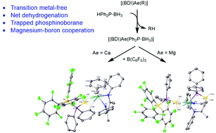 Graphical abstract: Phosphinoborane interception at magnesium by borane-assisted phosphine-borane dehydrogenation