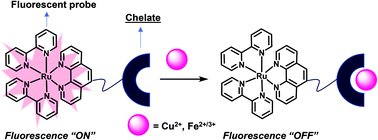 Graphical abstract: Recognition, mechanistic investigation and applications for the detection of biorelevant Cu2+/Fe2+/Fe3+ ions by ruthenium(ii)-polypyridyl based fluorescent sensors