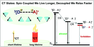Graphical abstract: Electron spin-controlled charge transfer and the resulting long-lived charge transfer state: from transition metal complexes to organic compounds