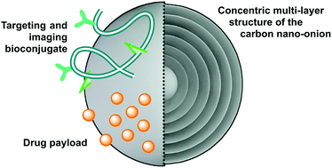 Graphical abstract: Carbon nano-onions as potential nanocarriers for drug delivery