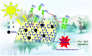Graphical abstract: The construction of NiFeSx/g-C3N4 composites with high photocatalytic activity towards the degradation of refractory pollutants