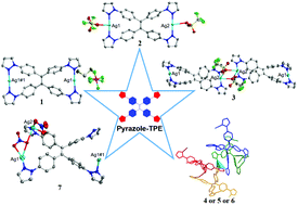 Graphical abstract: Luminescent silver(i) complexes with pyrazole-tetraphenylethene ligands: turn-on fluorescence due to the coordination-driven rigidification and solvent-oriented structural transformation