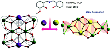 Graphical abstract: Hydroxido supported and differently networked octanuclear Ni6Ln2 [Ln = GdIII and DyIII] complexes: structural variation, magnetic properties and theoretical insights