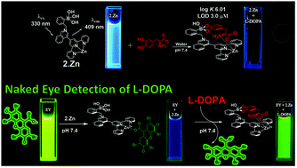 Graphical abstract: Chemosensing of neurotransmitters with selectivity and naked eye detection of l-DOPA based on fluorescent Zn(ii)-terpyridine bearing boronic acid complexes
