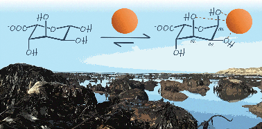 Graphical abstract: Opening the Egg Box: NMR spectroscopic analysis of the interactions between s-block cations and kelp monosaccharides